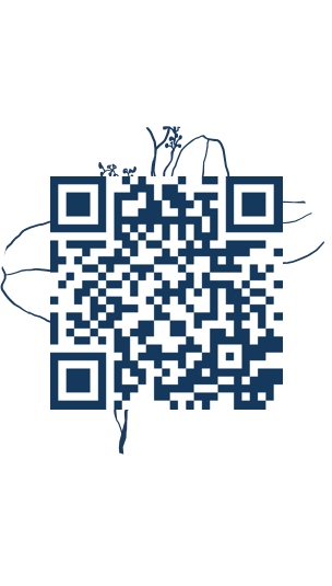 https://www.notesdumontroyal.com/note/678