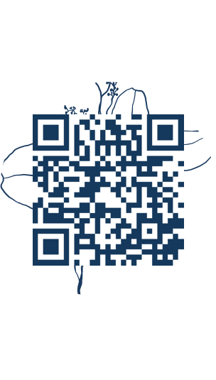 https://www.notesdumontroyal.com/note/68