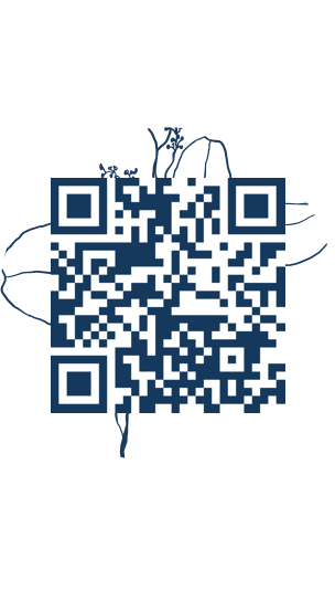 https://www.notesdumontroyal.com/note/688