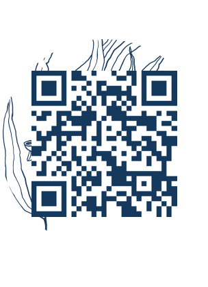 https://www.notesdumontroyal.com/note/689