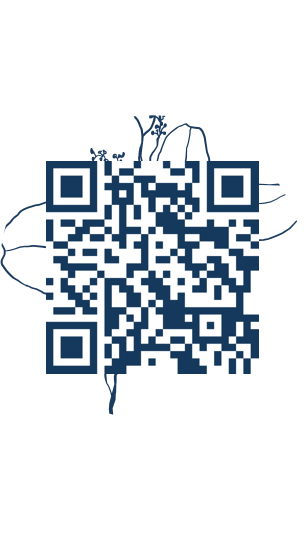 https://www.notesdumontroyal.com/note/698