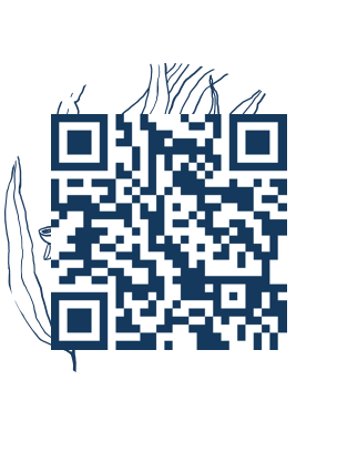 https://www.notesdumontroyal.com/note/699