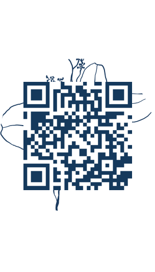 https://www.notesdumontroyal.com/note/708