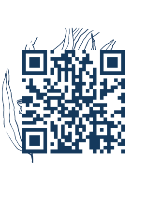 https://www.notesdumontroyal.com/note/709
