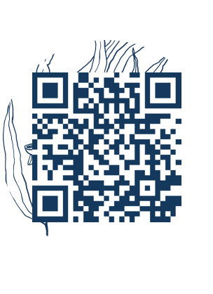 https://www.notesdumontroyal.com/note/719