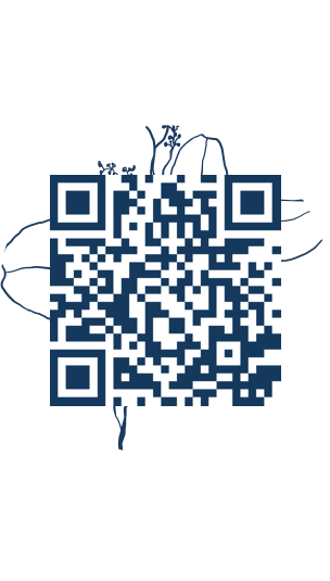 https://www.notesdumontroyal.com/note/728