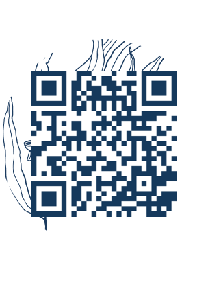 https://www.notesdumontroyal.com/note/729