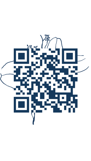 https://www.notesdumontroyal.com/note/738
