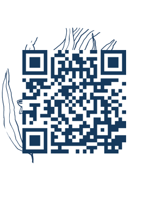 https://www.notesdumontroyal.com/note/739