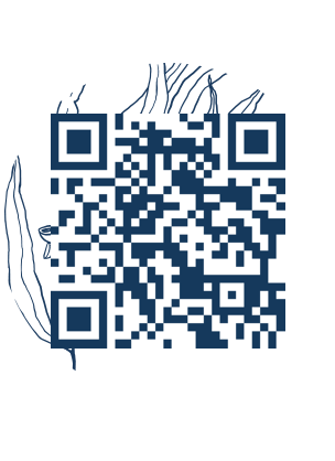 https://www.notesdumontroyal.com/note/779