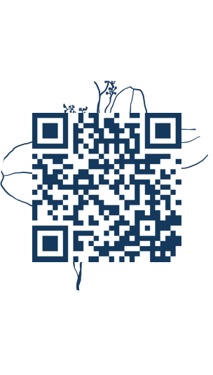 https://www.notesdumontroyal.com/note/78