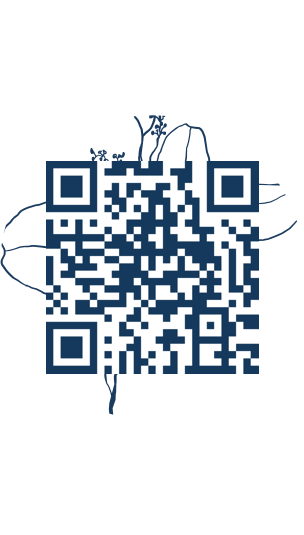 https://www.notesdumontroyal.com/note/788
