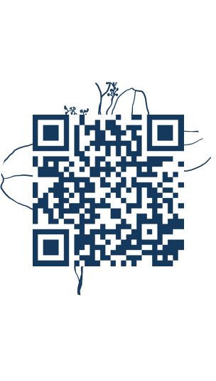 https://www.notesdumontroyal.com/note/798