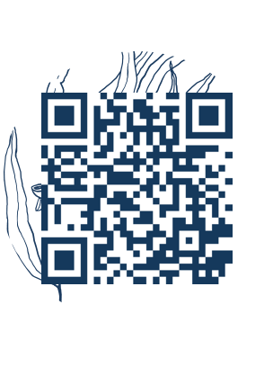 https://www.notesdumontroyal.com/note/799