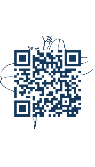 https://www.notesdumontroyal.com/note/8