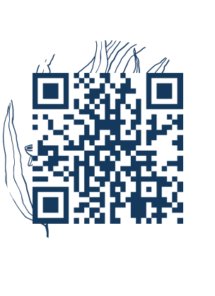 https://www.notesdumontroyal.com/note/809