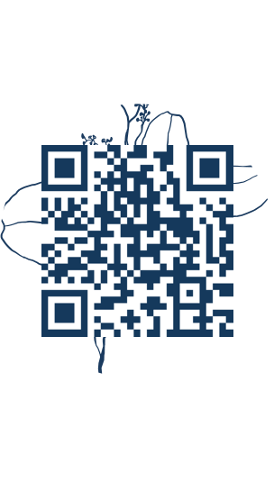 https://www.notesdumontroyal.com/note/818