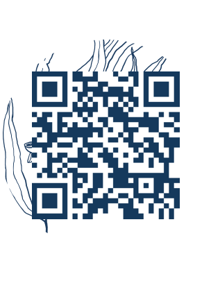 https://www.notesdumontroyal.com/note/819