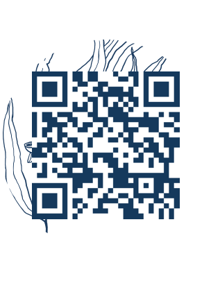 https://www.notesdumontroyal.com/note/829