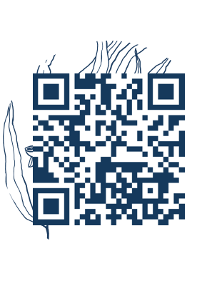 https://www.notesdumontroyal.com/note/839