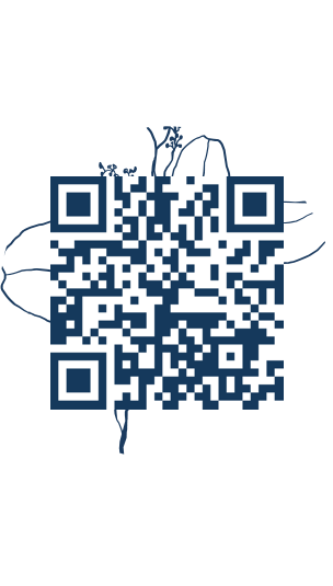 https://www.notesdumontroyal.com/note/848