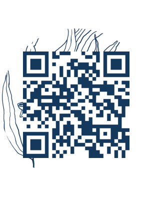 https://www.notesdumontroyal.com/note/849