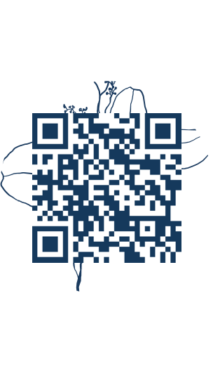https://www.notesdumontroyal.com/note/858