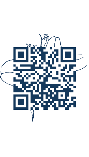 https://www.notesdumontroyal.com/note/868