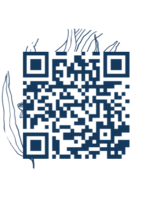 https://www.notesdumontroyal.com/note/869
