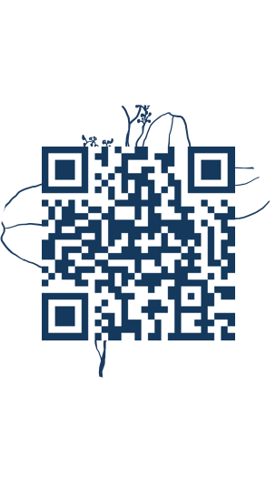 https://www.notesdumontroyal.com/note/878