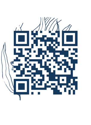https://www.notesdumontroyal.com/note/879