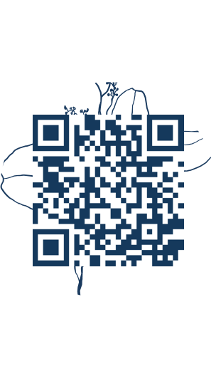 https://www.notesdumontroyal.com/note/888