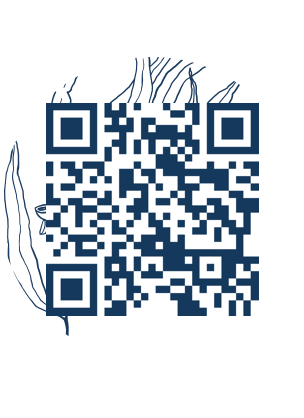 https://www.notesdumontroyal.com/note/89