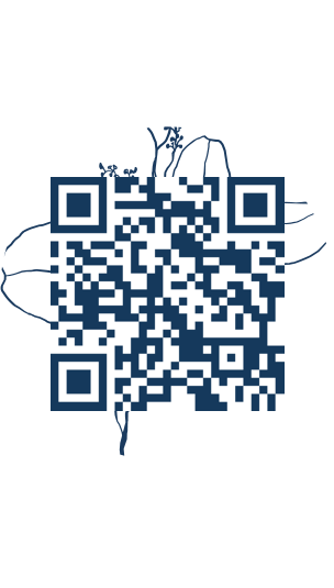 https://www.notesdumontroyal.com/note/898
