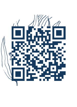 https://www.notesdumontroyal.com/note/899
