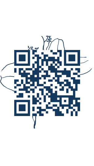 https://www.notesdumontroyal.com/note/908