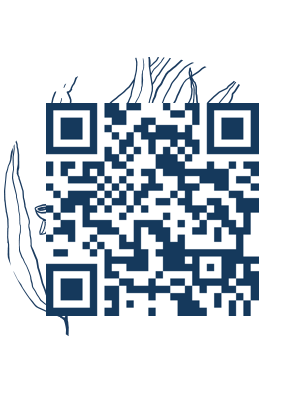https://www.notesdumontroyal.com/note/909
