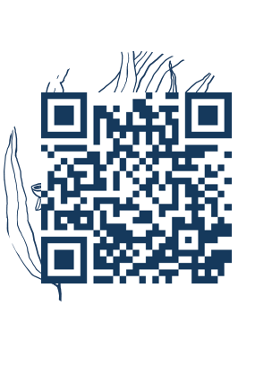 https://www.notesdumontroyal.com/note/919