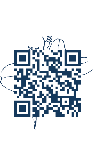 https://www.notesdumontroyal.com/note/938
