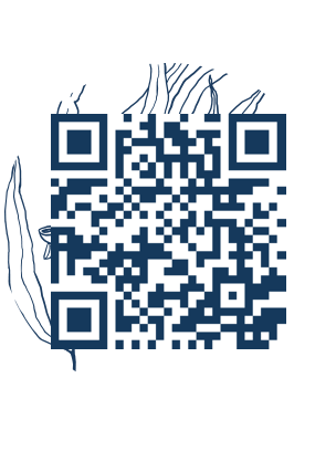 https://www.notesdumontroyal.com/note/939
