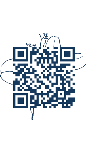 https://www.notesdumontroyal.com/note/948