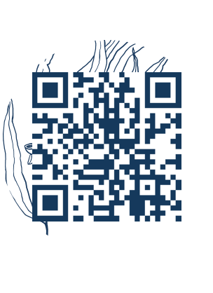 https://www.notesdumontroyal.com/note/949