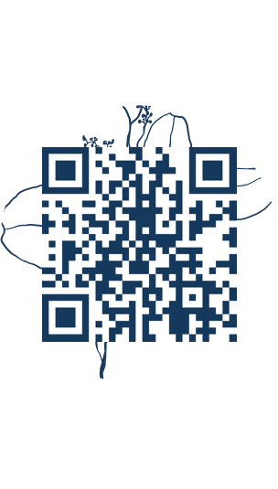 https://www.notesdumontroyal.com/note/958