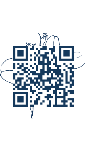 https://www.notesdumontroyal.com/note/968