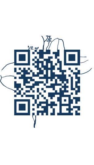 https://www.notesdumontroyal.com/note/98
