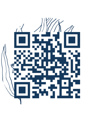 https://www.notesdumontroyal.com/note/989