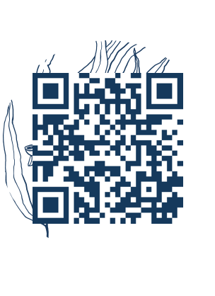 https://www.notesdumontroyal.com/note/99