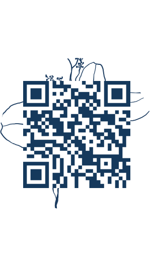 https://www.notesdumontroyal.com/note/998
