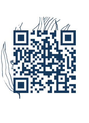 https://www.notesdumontroyal.com/note/999